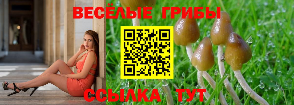 Воронеж  Галлюциногенные грибы Psilocybine cubensis  Вход с VPN 